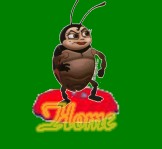 Click to Home Page