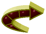 Click to Roberto Baggio